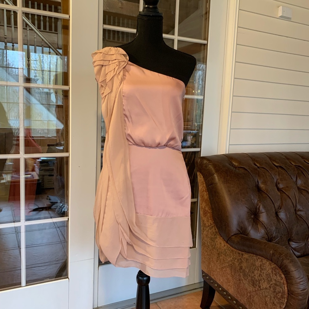 BCBG Max Azria Rose and Ruffle Dress
